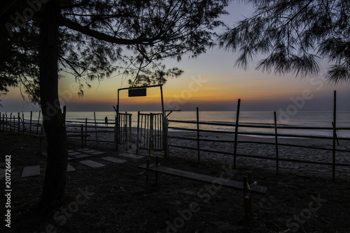 Exit door to the beach with fence and pine tree in the morning sky