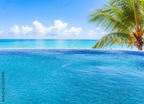 piscine tropicale bleue    d  bordement 