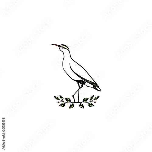 Hand drawn shorebird