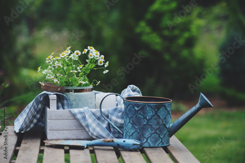 Beautiful summer scene with bouquet of camomile flowers, rustic wooden tray and tablecloth with green background. Garden work concept. photo