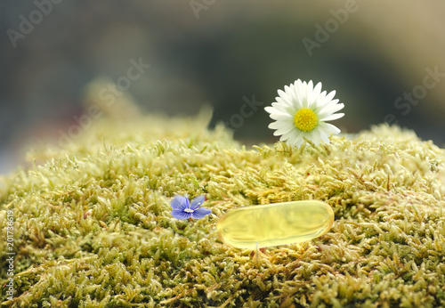 fish oil capsule on green moss, and flowers of blue Easter and color daisy photo