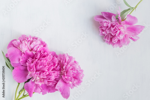 Fototapeta Naklejka Na Ścianę i Meble -  Pink peonies on a light background