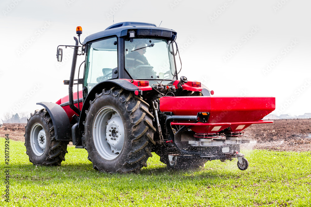 Obraz premium Farmer in tractor fertilizing wheat field at spring with npk