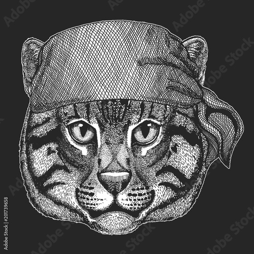 Wild cat Fishing cat Cool pirate, seaman, seawolf, sailor, biker animal for tattoo, t-shirt, emblem, badge, logo, patch. Image with motorcycle bandana