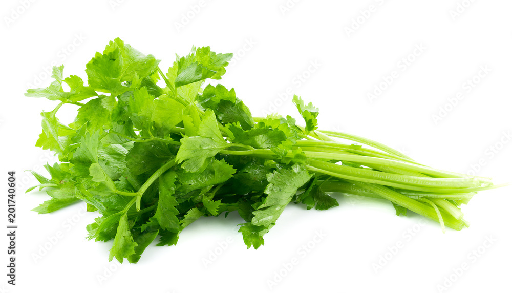 Fresh celery isolated on white background Fresh celery isolated on white background