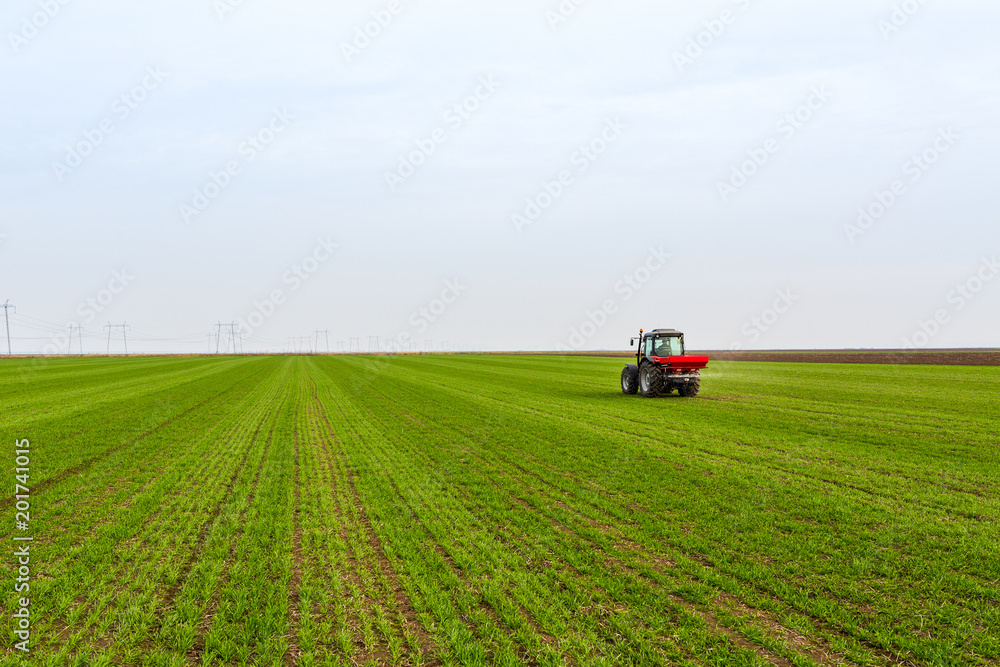 Farmer in tractor fertilizing wheat field at spring with npk Farmer in tractor fertilizing wheat field at spring with npk