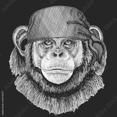 Chimpanzee Monkey Cool pirate, seaman, seawolf, sailor, biker animal for tattoo, t-shirt, emblem, badge, logo, patch. Image with motorcycle bandana