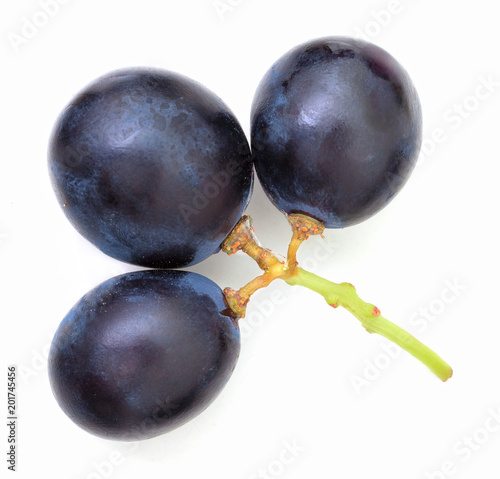 Grape berries top view overhead shot. Blue grape berries sample, isolated on white background. Blue berries sample on white underlay. Vineculture theme. Grapevine sample on white. Three berries. photo