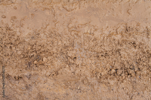 Texture of brown mud. Slobber desktop image. Brown muddy road backdrop. Wet mud on path home screen. photo