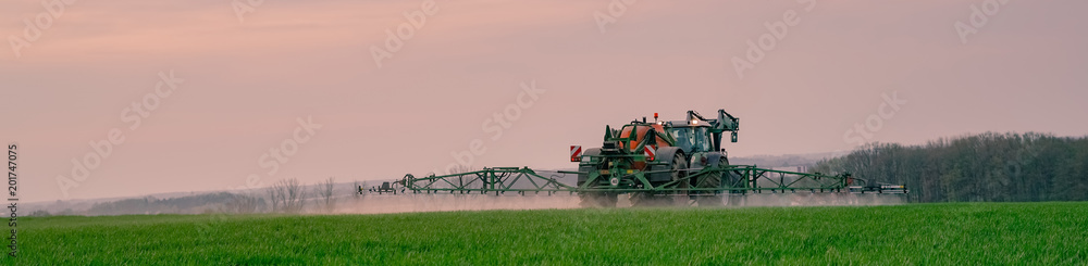 Fototapeta premium Ackerbau - Landwirt bei Pflanzenschutzmaßnahmen im Getreide am Abend, Banner