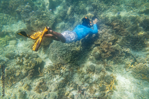 Wallpaper Mural snorkeling diver Torontodigital.ca