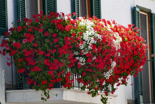balcone fiorito
