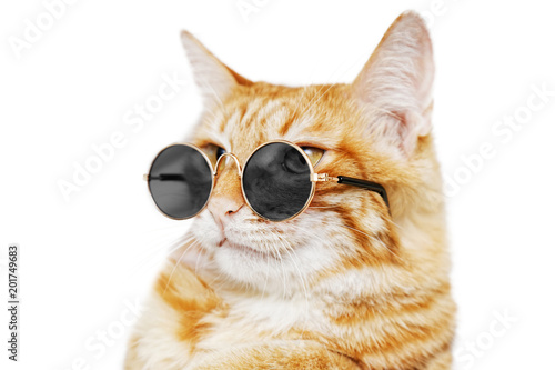 Fototapeta Naklejka Na Ścianę i Meble -  Closeup portrait of funny ginger cat wearing sunglasses isolated on white. Shallow focus.