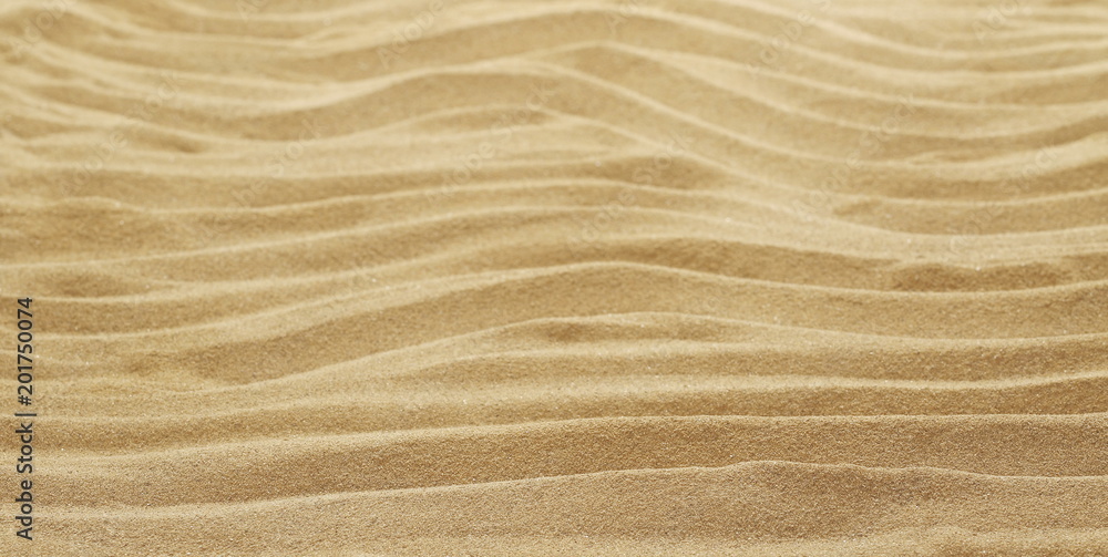 Sand dune desert background and texture Sand dune desert background and texture