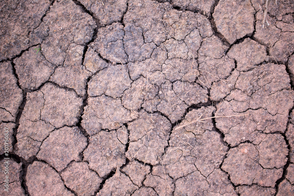 Closed up of dry break land, nature background concept. Closed up of dry break land, nature background concept.