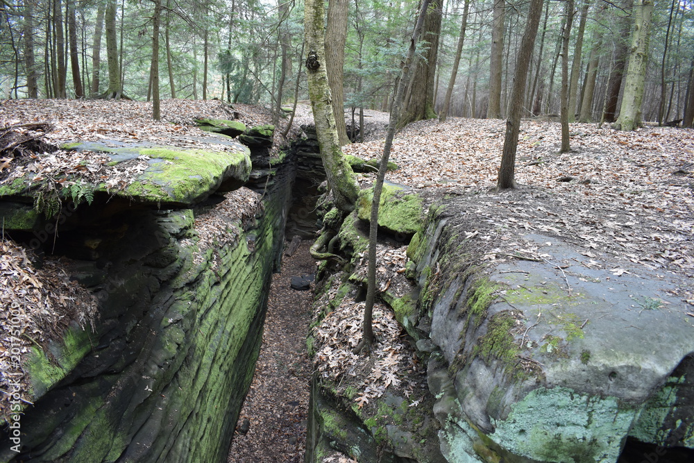 Obraz premium Beautiful forest landscape with the big green mossy canyon on the ledges pass in Cuyahoga Valley near Cleveland, Ohio, USA