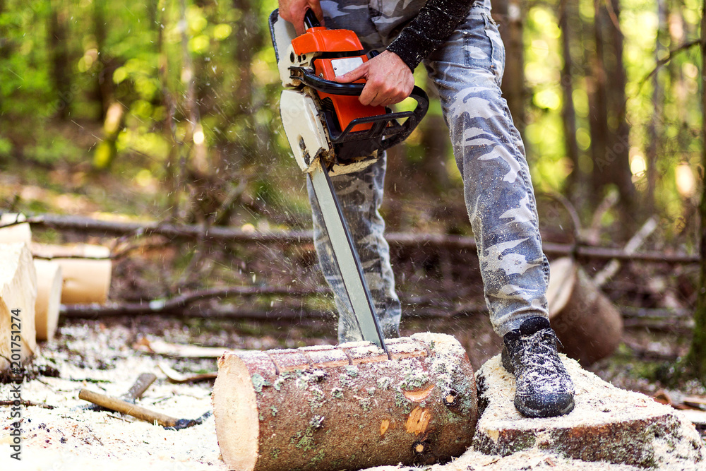 Cropped shot of lumberjack with chainsaw Cropped shot of lumberjack with chainsaw