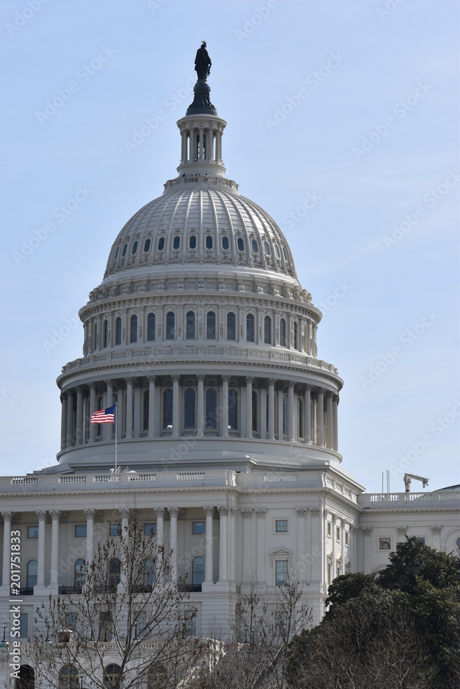 Obraz premium Closeup of big white Capitol in Washington D.C. in the USA