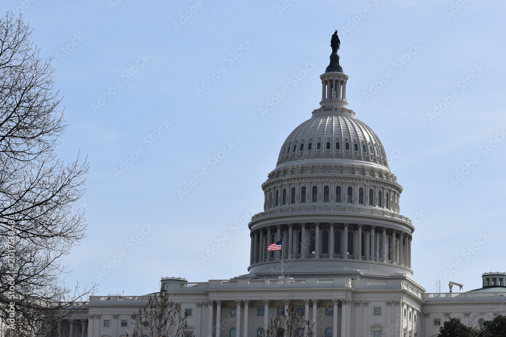 Obraz premium Closeup of big white Capitol in Washington D.C. in the USA
