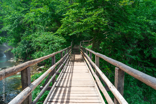 Wooden pedestrian bridge over river  green forest