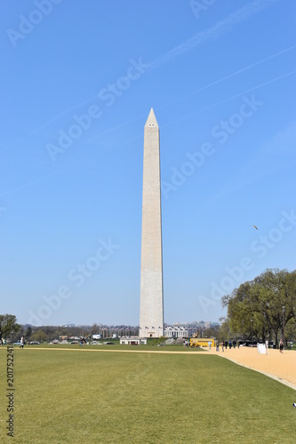 Famous Washington Monument in Washington D. C with beautiful trees with cherry blossoms in the USA