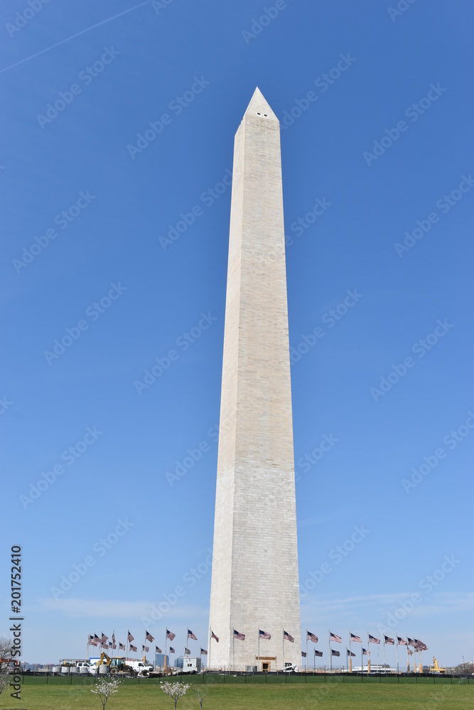 Famous Washington Monument in Washington D. C with beautiful trees with cherry blossoms in the USA