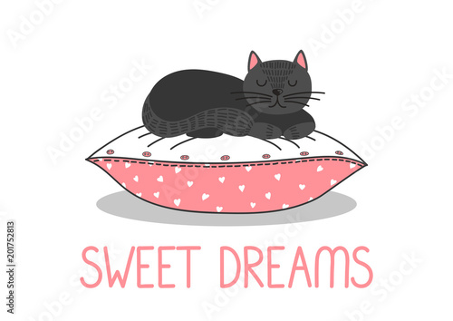 Sweet Dreams. Black cat sleeping on pink pillow on white background. Cute vector illustration.