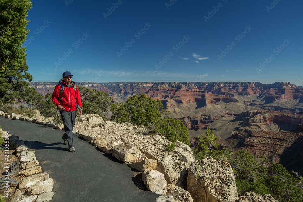 A hiker in the Grand Canyon National Park, South Rim, Arizona, USA