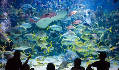 People watch for the sea life in the oceanarium of Kuala Lumpur