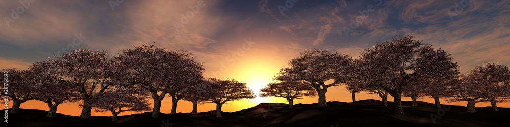 blossoming trees on a sunset background, panorama of flowering cherries under the sun,
3D rendering
