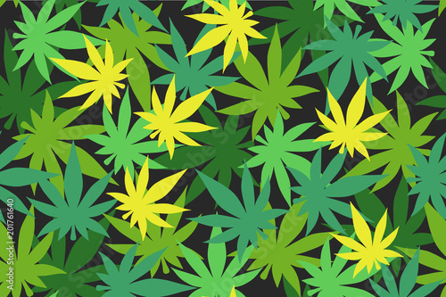  Cannabis color pattern