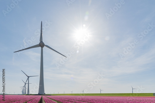 Fototapeta Naklejka Na Ścianę i Meble -  Wind turbine spinning and generating green carbone footprint free electricity under a sunny blue sky at Almere near Amsterdam, Netherlands