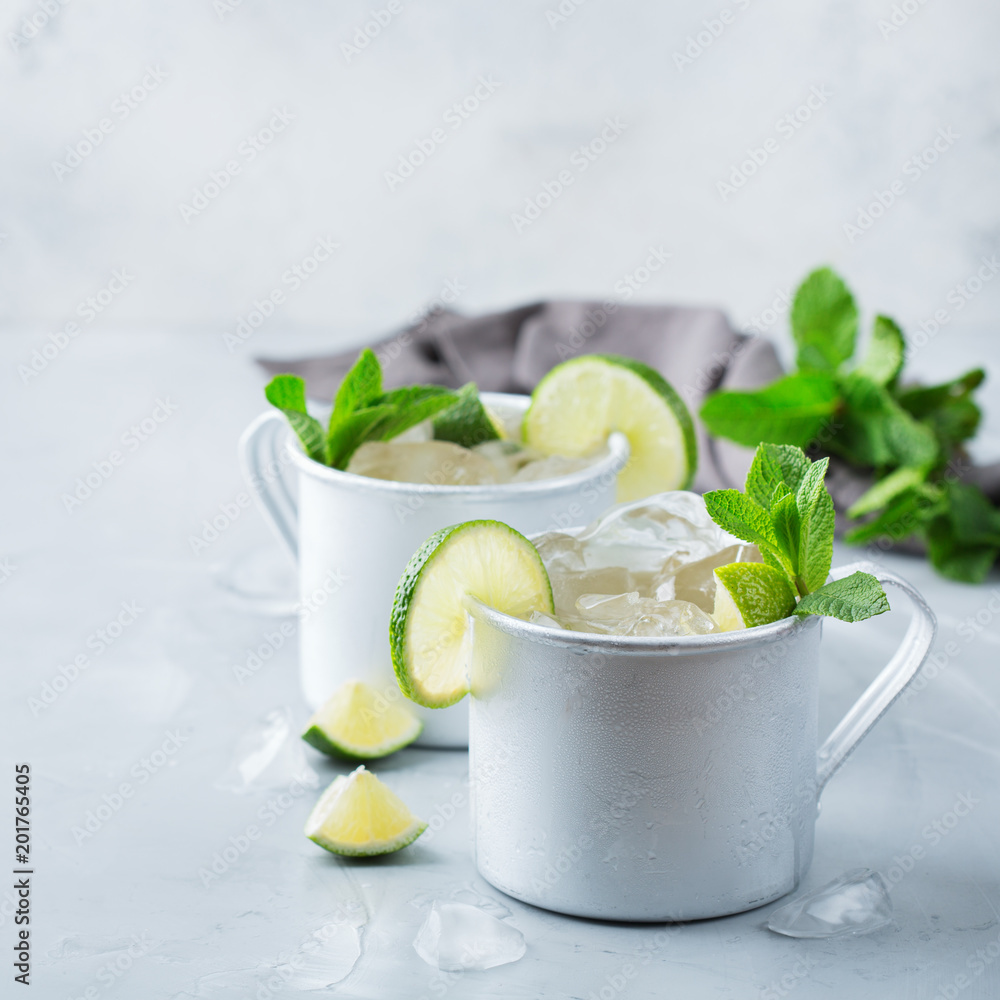 Moscow mule cocktail with vodka, ginger beer, lime and mint Moscow mule cocktail with vodka, ginger beer, lime and mint