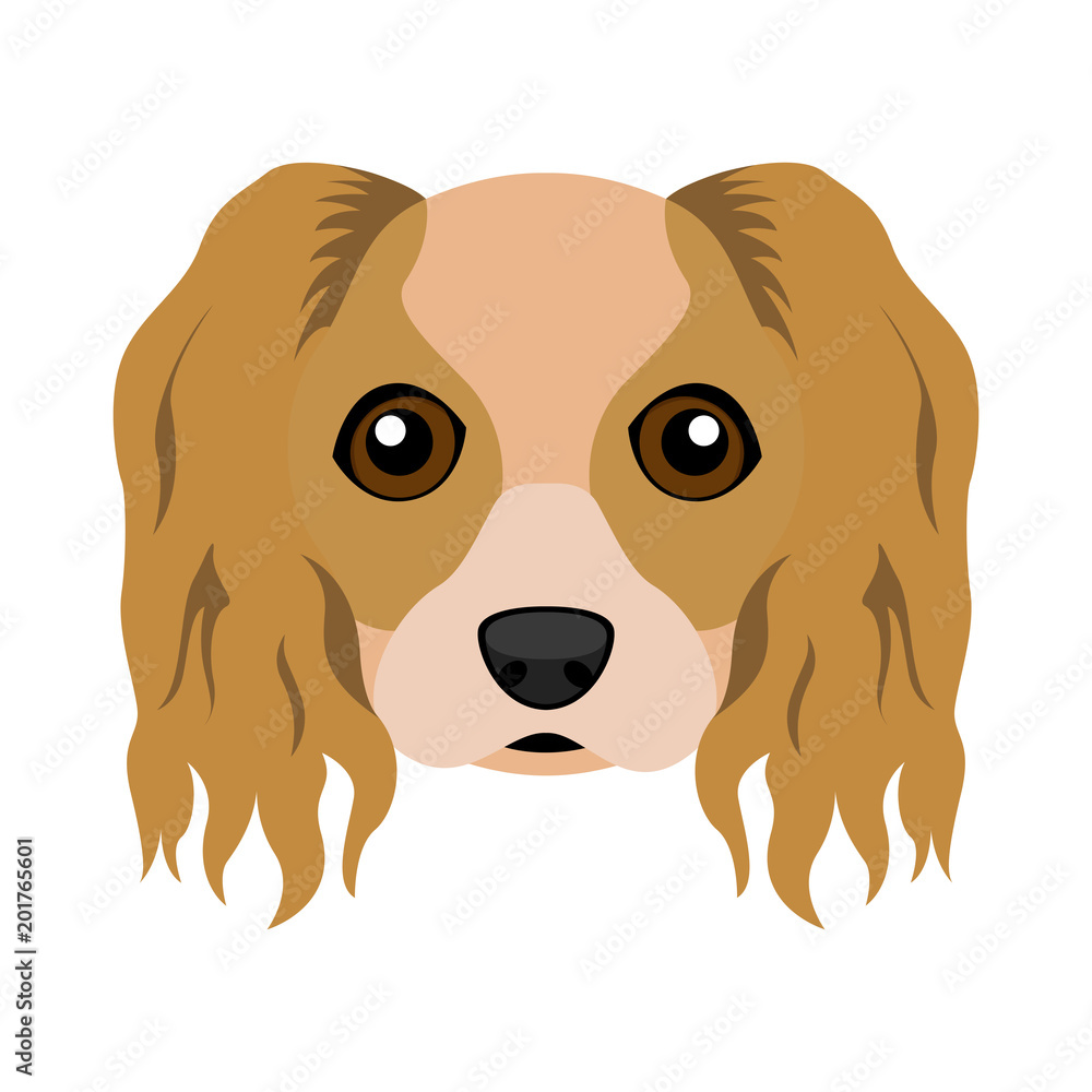 Cute cavalier king charles spaniel dog avatar Cute cavalier king charles spaniel dog avatar