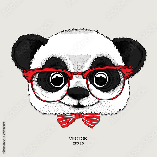 Image Portrait of panda in the cravat and with glasses. Vector illustration.