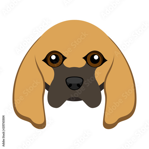 Cute bloodhound dog avatar