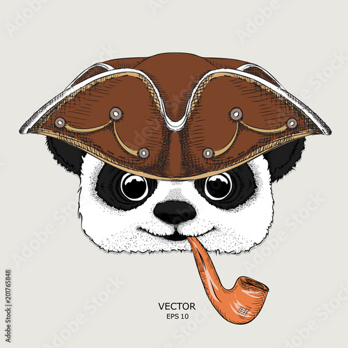 Fototapeta Naklejka Na Ścianę i Meble -  Portrait of panda in sailor hat and with tobacco pipe. Vector illustration.