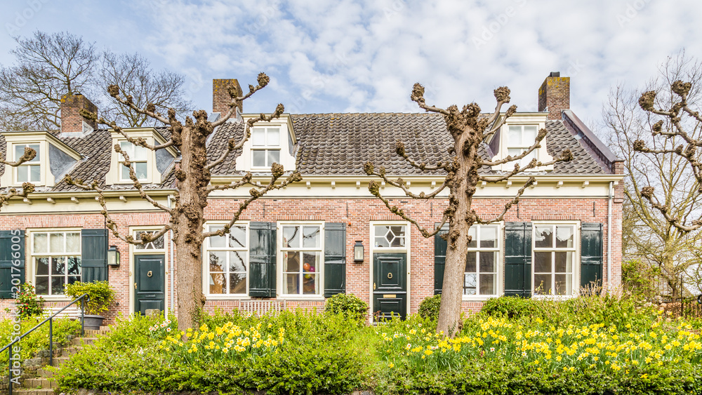 Tarditional Dutch houses with yellow daffodil flowers in Amerongen a historic little town in the province of Utrecht in the Netherlands. Amerongen is  also known from  his castle of Amerongen