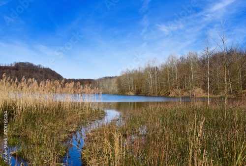 Scenic landscape of a wetland and lake in spring.