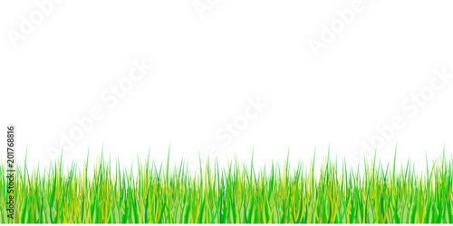 Spring grass seamless pattern. Easter decoration with spring grass and meadow flowers. Isolated on white background. Vector
