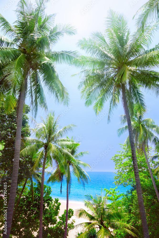 custom made wallpaper toronto digitalPalms