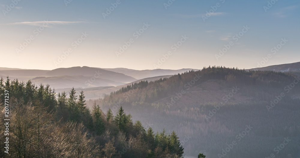 Misty Hills with Forest at Dusk in the Scottish Borders