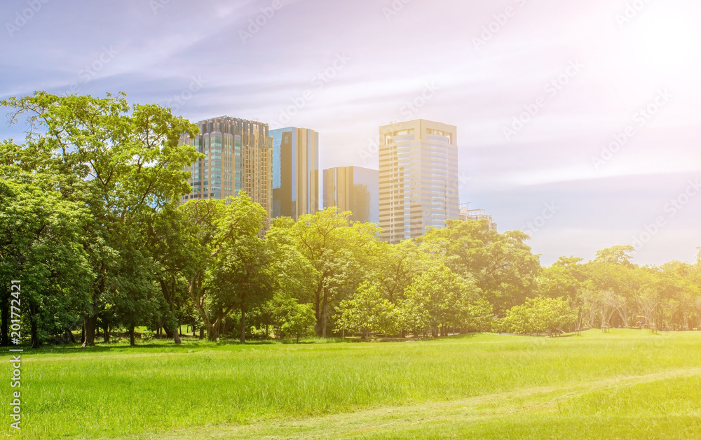Obraz premium City park under blue sky with building background