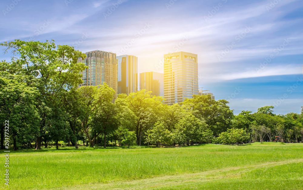City park under blue sky with building background Stock Photo | Adobe Stock