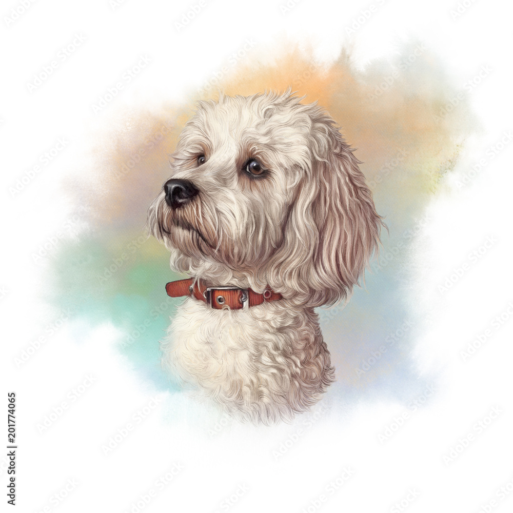 Portrait of Maltese Dog. Toy or Miniature Poodle on watercolor background. Cute puppy. Watercolor hand drawn pet illustration. Animal art collection: Dogs. Good for print T-shirt, pillow, cover, card