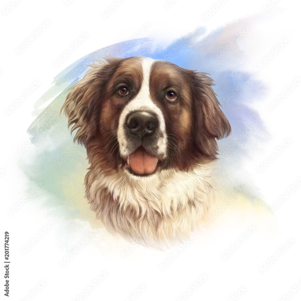 The St. Bernard. Powerful Dog Breeds. Realistic Portrait of Moscow Watchdog on watercolor background. Animal art collection: Dogs. Hand drawn pet illustration. Good for print T-shirt, pillow, pet shop