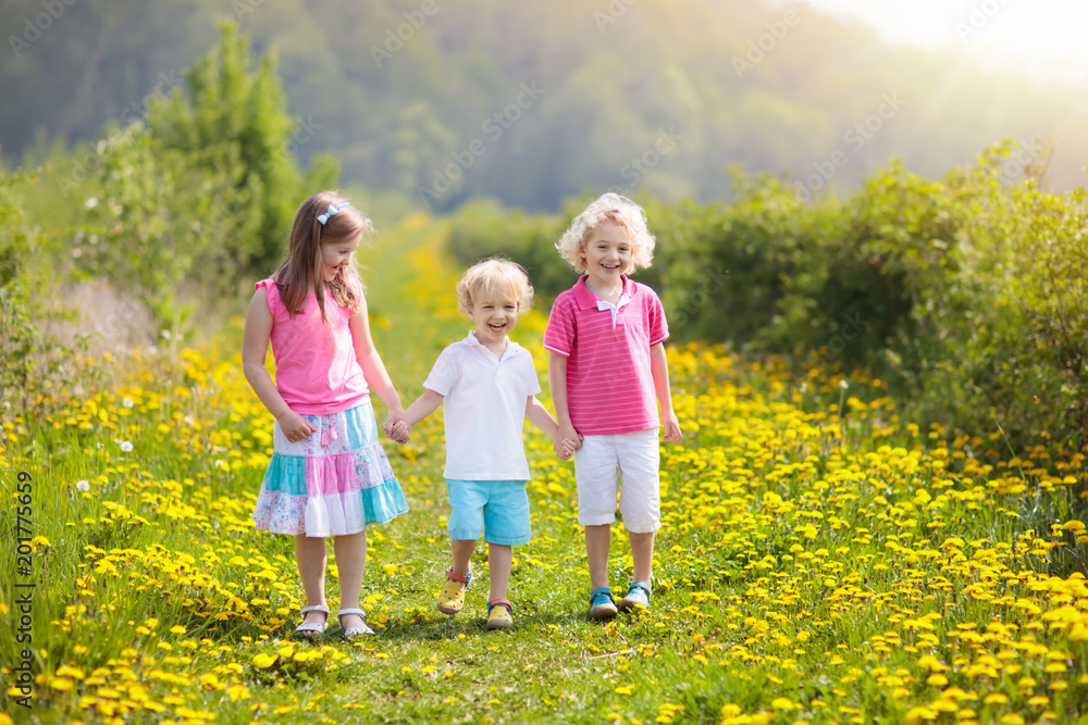 Fototapeta premium Kids play. Child in dandelion field. Summer flower