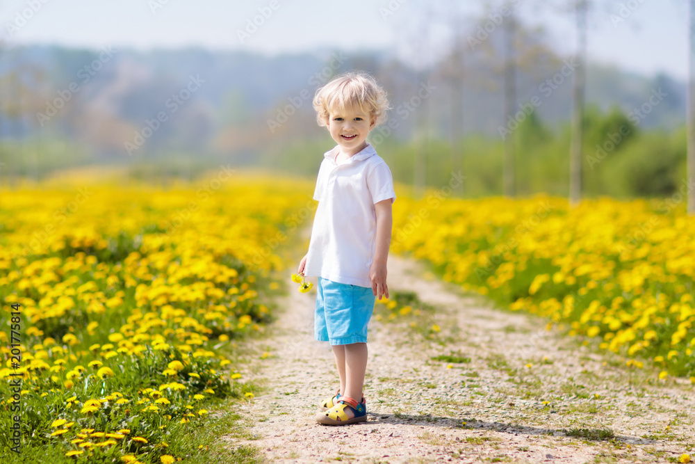 Kids play. Child in dandelion field. Summer flower Kids play. Child in dandelion field. Summer flower