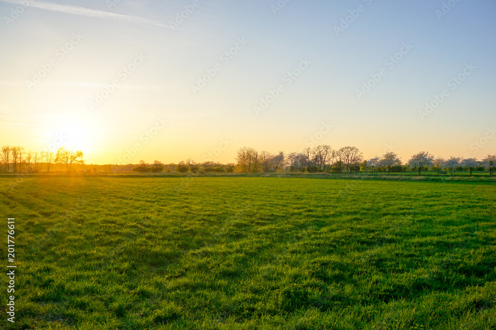 Fototapeta premium Grünes Feld Sonnenuntergang
