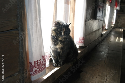 кот у окна в деревянном доме